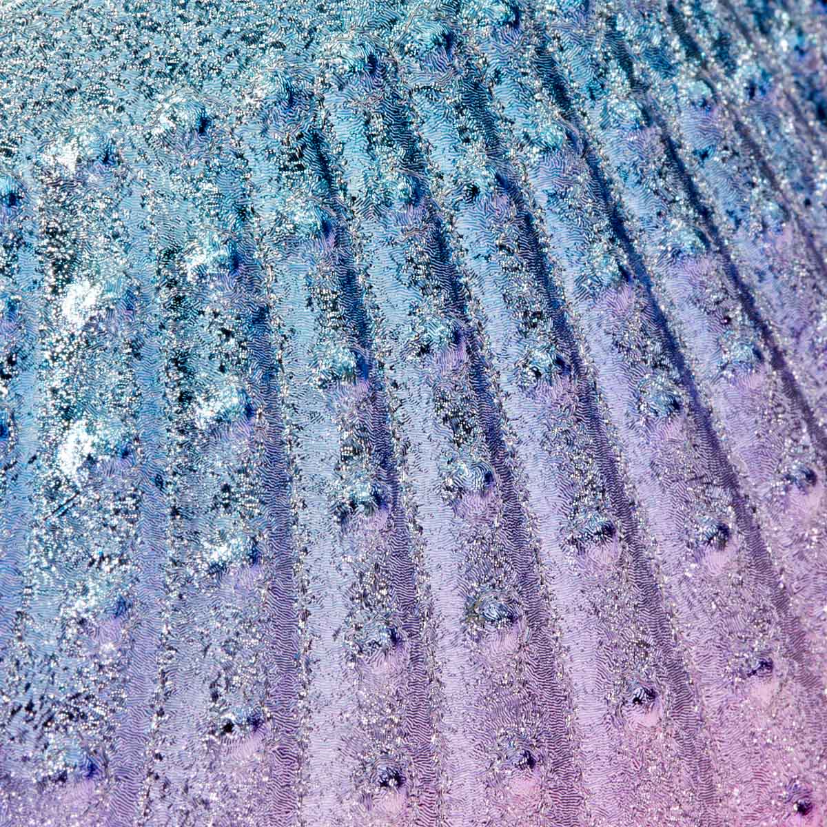 ACTIVESHOP Shell-shaped dusting brush - Image 2